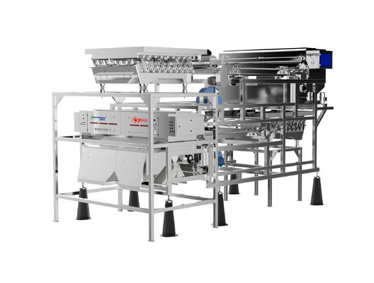 Kalite  Customized Fruit Sorting Machine Belt Type 1.0-1.5T/H Blueberry Color Sorter Fabrika