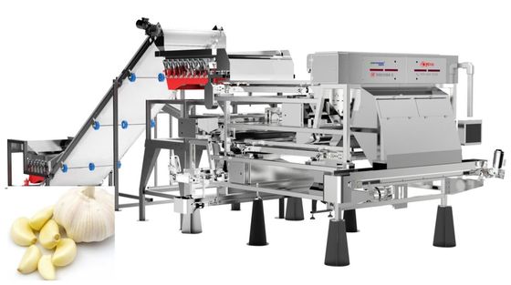 Kalite  Precise Removal Garlic Color Sorter Processing Equipment Belt Type 1.0-1.5 t/h Fabrika