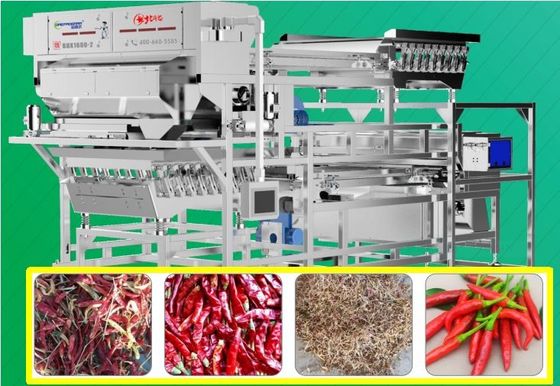 Facing Heaven Pepper Sorting Machine Intelligent Removal 8.75Kw 220V 50Hz