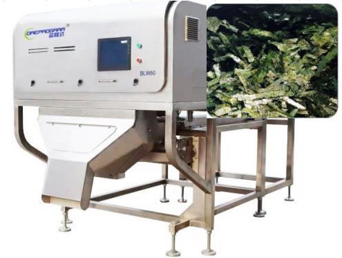 Nori Yosun Sebze Ayırma Makinesi 1-3T/H Wolfberry Renk Ayırıcı